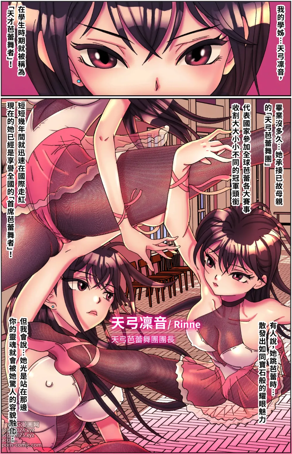 Page 3 of doujinshi 黑天鵝輪舞曲 Black Swan Wheel Dance