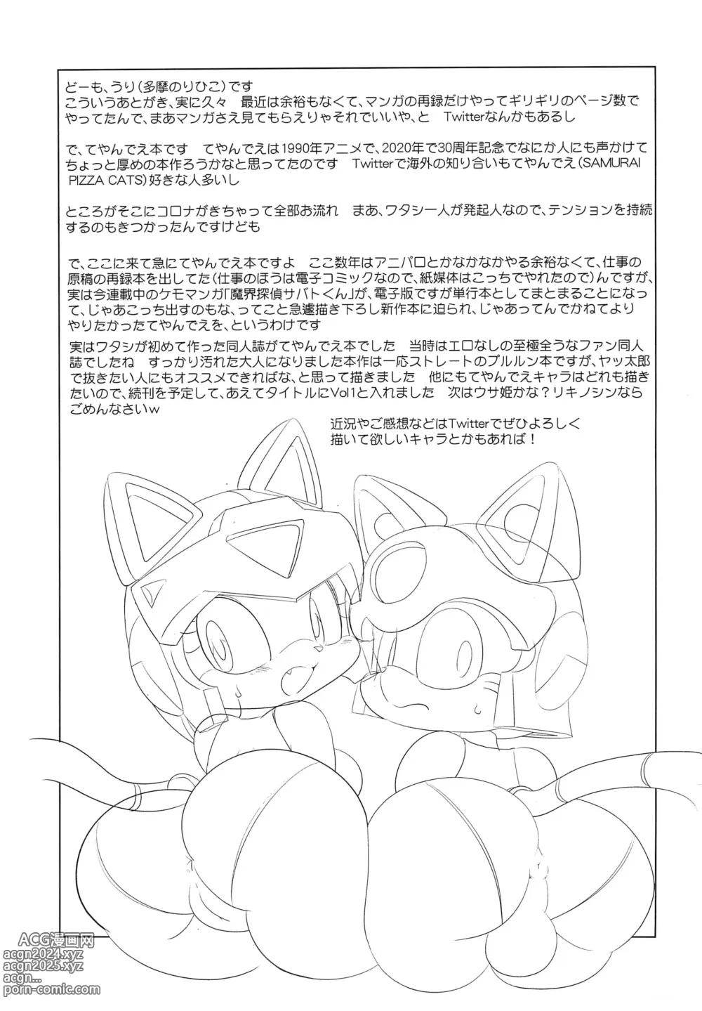 Page 15 of doujinshi Nyankee Reppuuden Vol.1