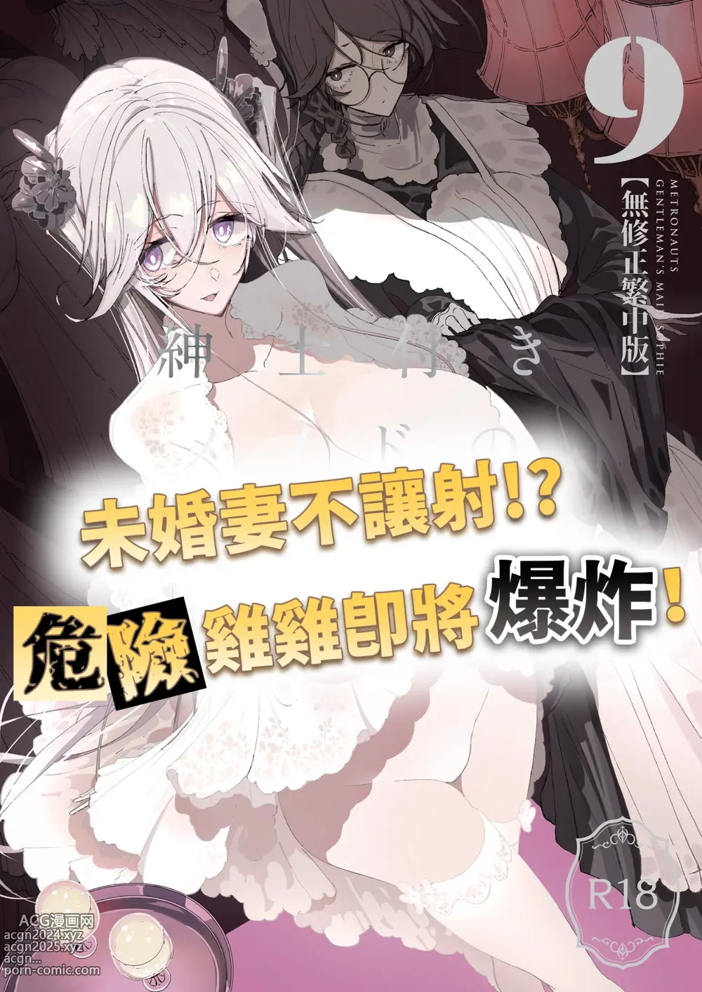 Page 2 of doujinshi 貼身女僕蘇菲 9 (decensored)