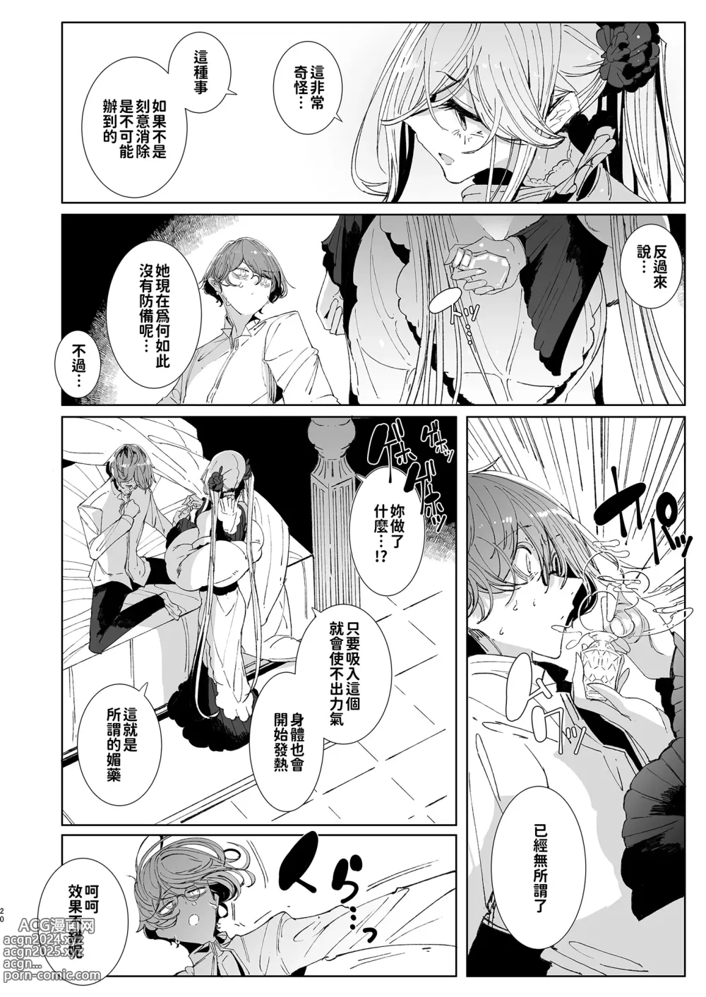 Page 21 of doujinshi 貼身女僕蘇菲 9 (decensored)