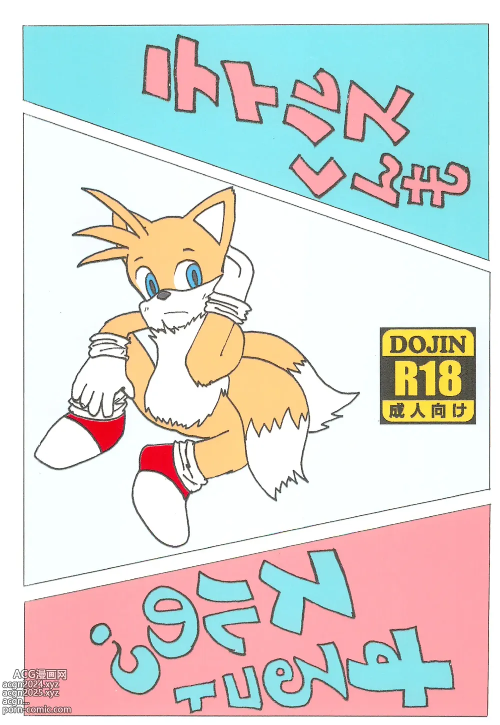 Page 1 of doujinshi Tails-kun mo suru koto suru no?