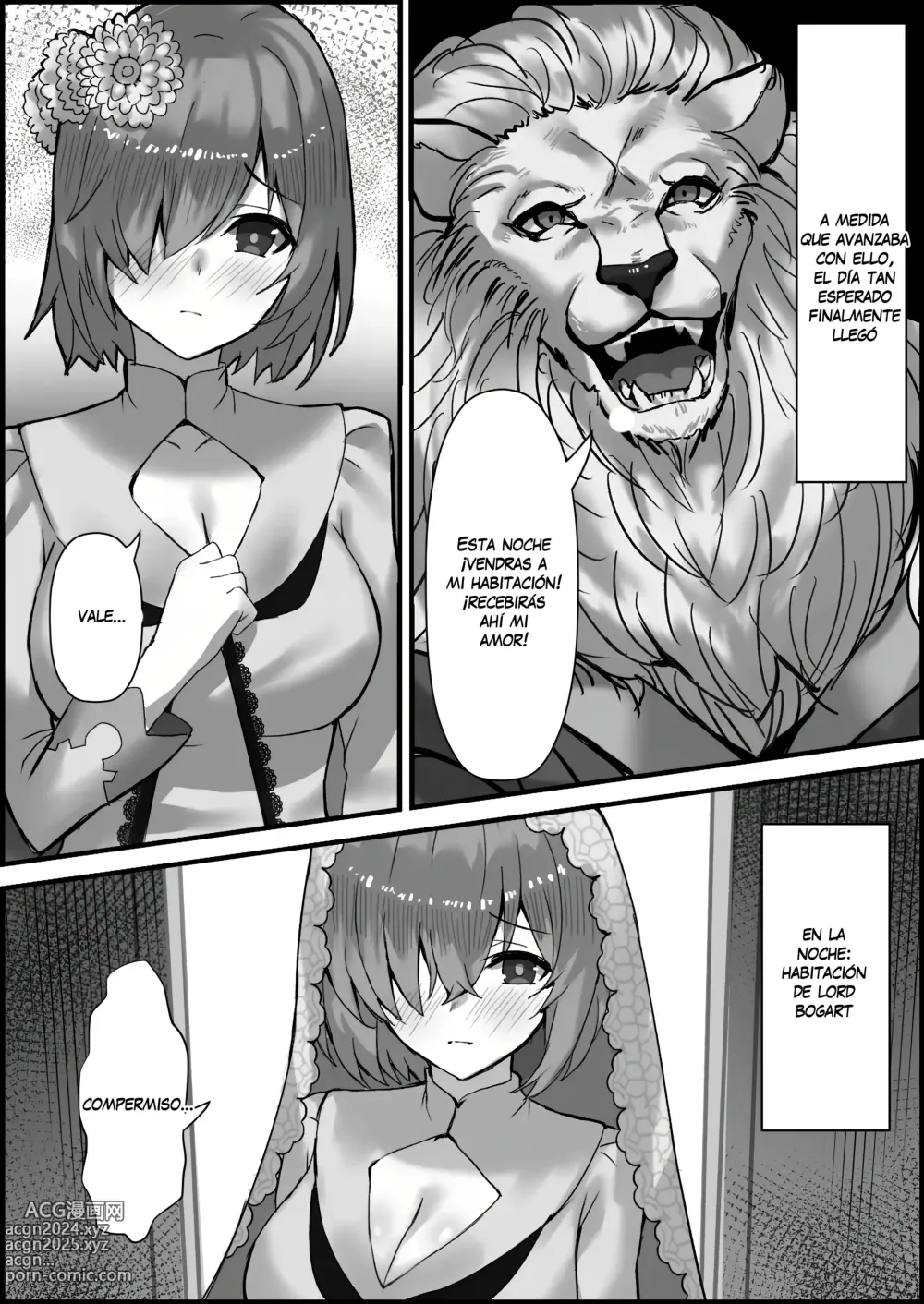 Page 3 of doujinshi Novia caida