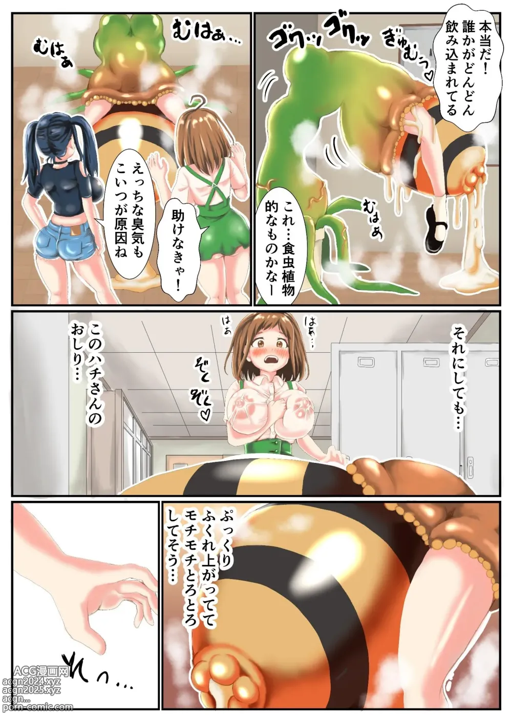 Page 5 of doujinshi Futa Semi Ch.1 Marunomi Sareteru Hachi Musume o Tasuketara Boutama Saserareta Hanashi