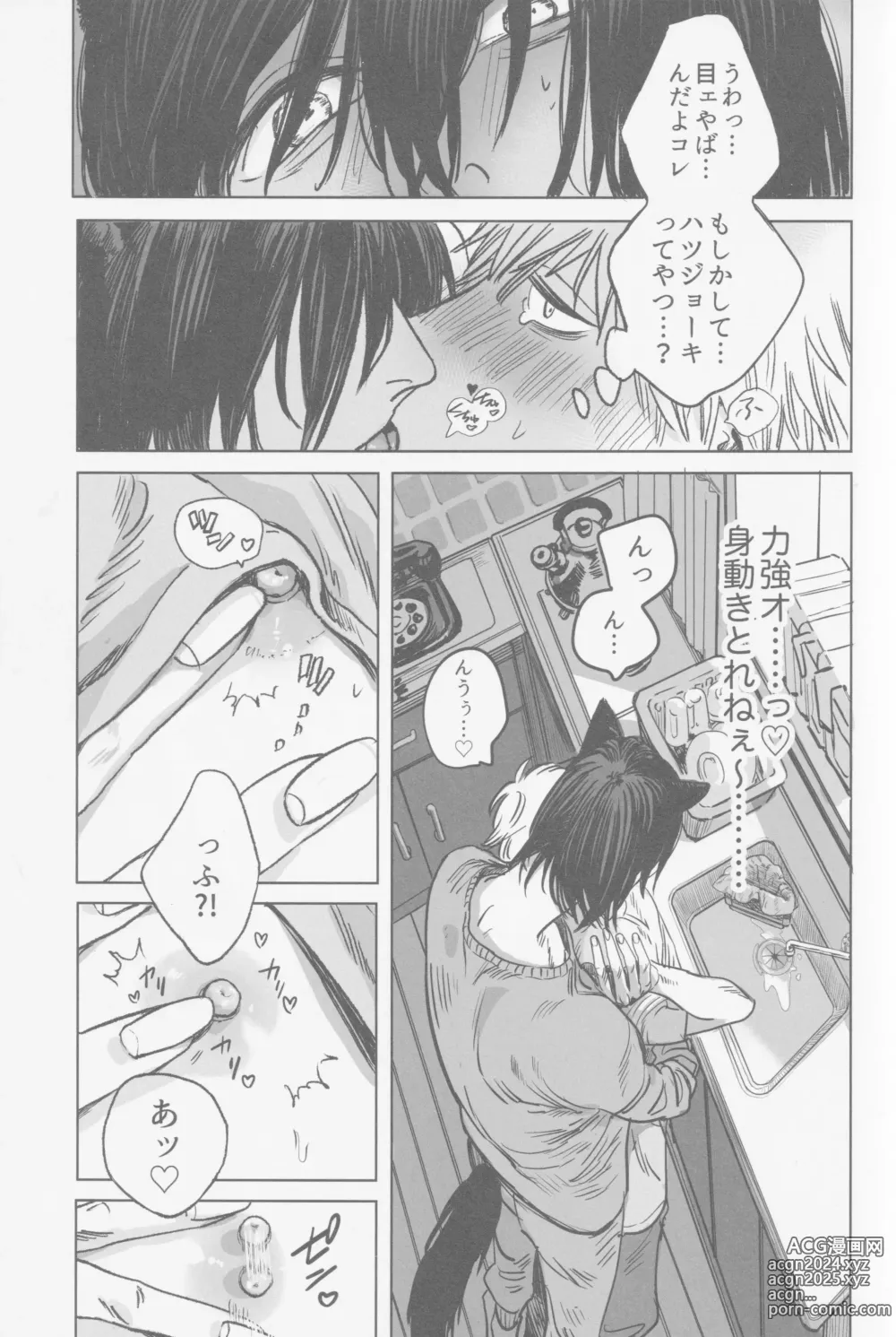 Page 12 of doujinshi Tsukihami