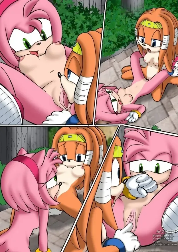 Page 83 of doujinshi Sonic