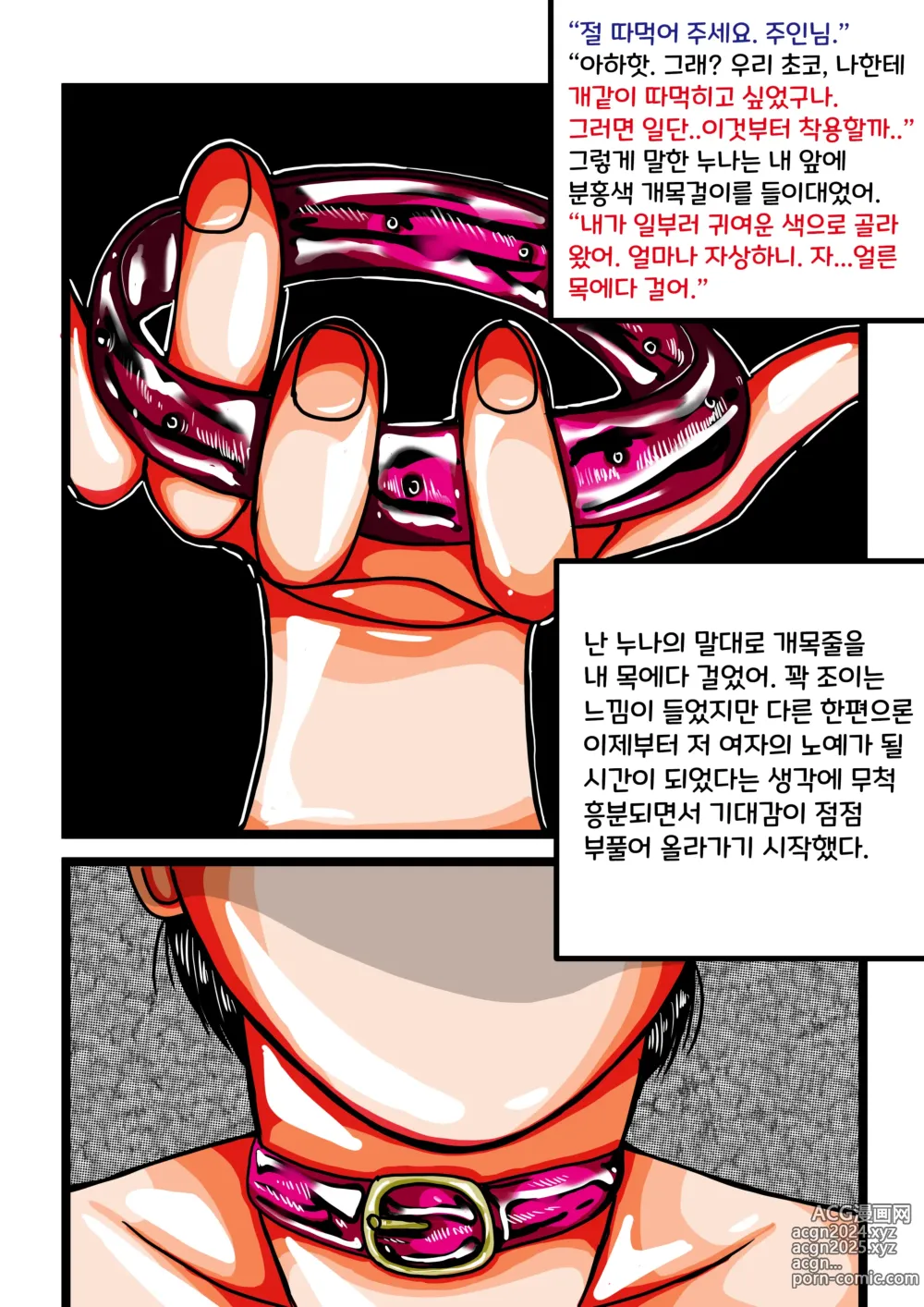 Page 8 of manga 10살 연상 누나의 노예가 되다