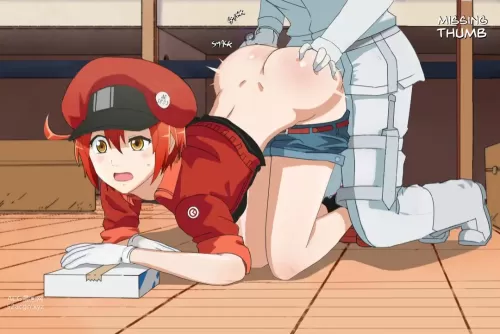 white blood cell(白血球（はたらく細胞）) red blood cell(赤血球（はたらく細胞）)|hataraku saibou(はたらく細胞)|