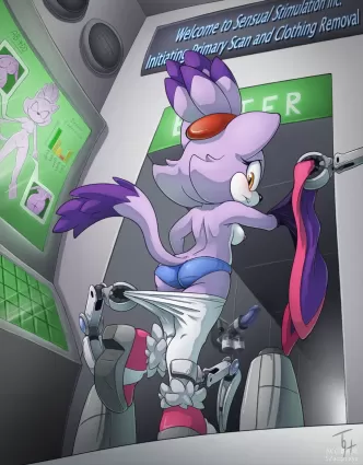 Blaze's Sensual Makeover - Chapter 1 (Sonic The Hedgehog)