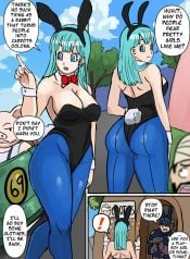 Bulma Short Comic (Dragon Ball)