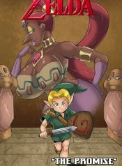 The Promise (The Legend of Zelda)