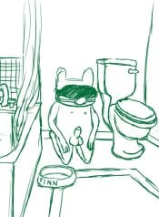 Toilet (Adventure Time)